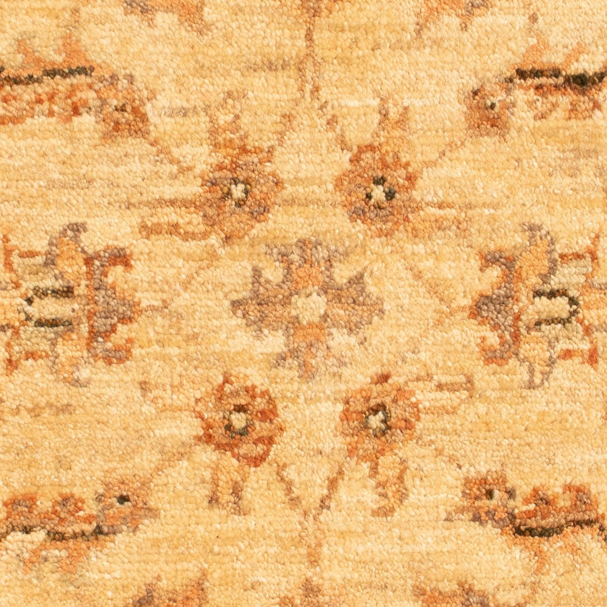 Ziegler Carpet - 70 x 52 cm - beige