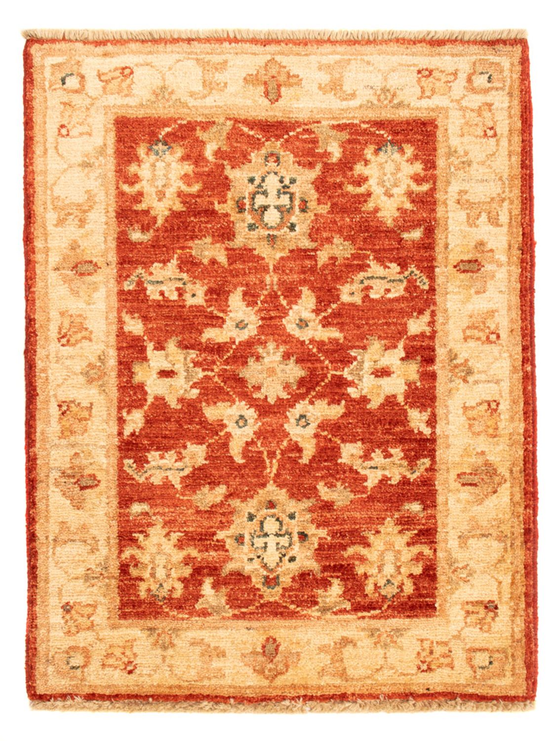 Ziegler Carpet - 70 x 53 cm - rød