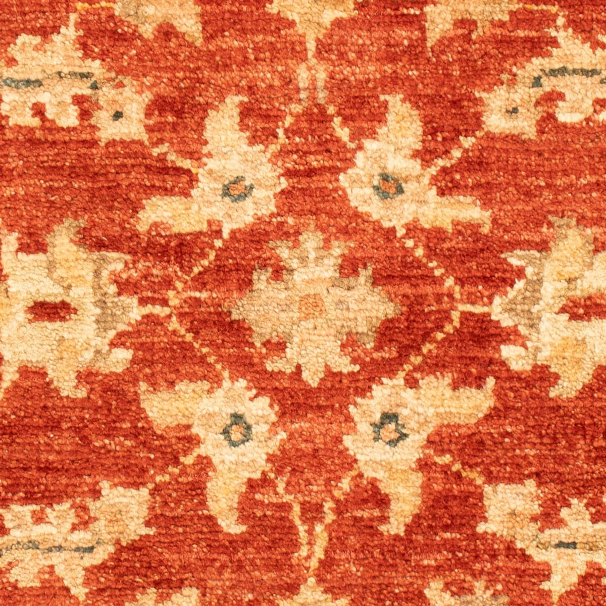 Ziegler Carpet - 70 x 53 cm - rød