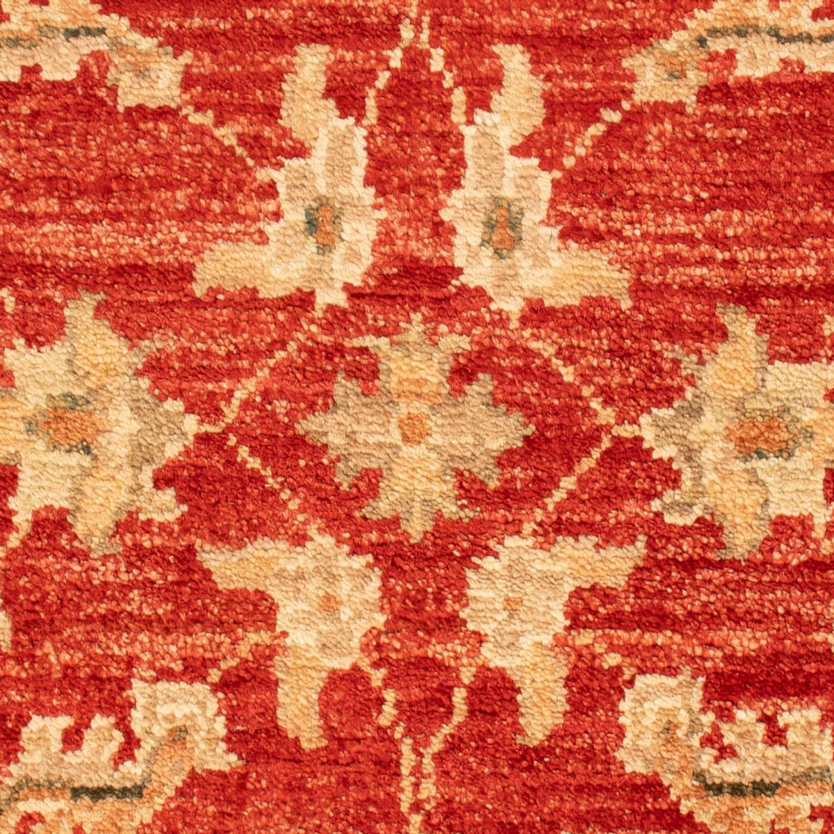 Ziegler Carpet - 69 x 52 cm - rød
