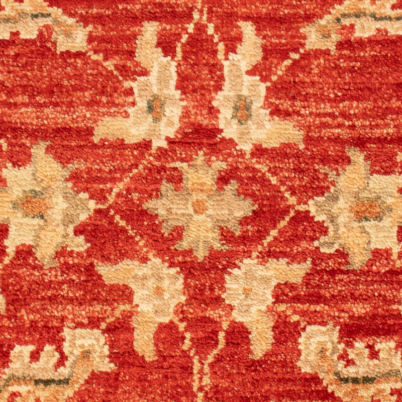 Ziegler Carpet - 69 x 52 cm - rød