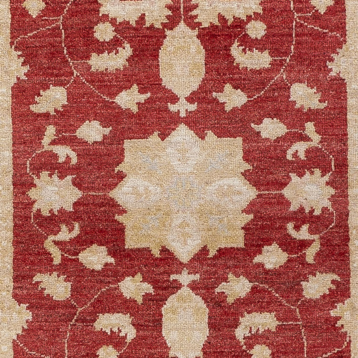 Løber Ziegler Carpet - 247 x 80 cm - rød