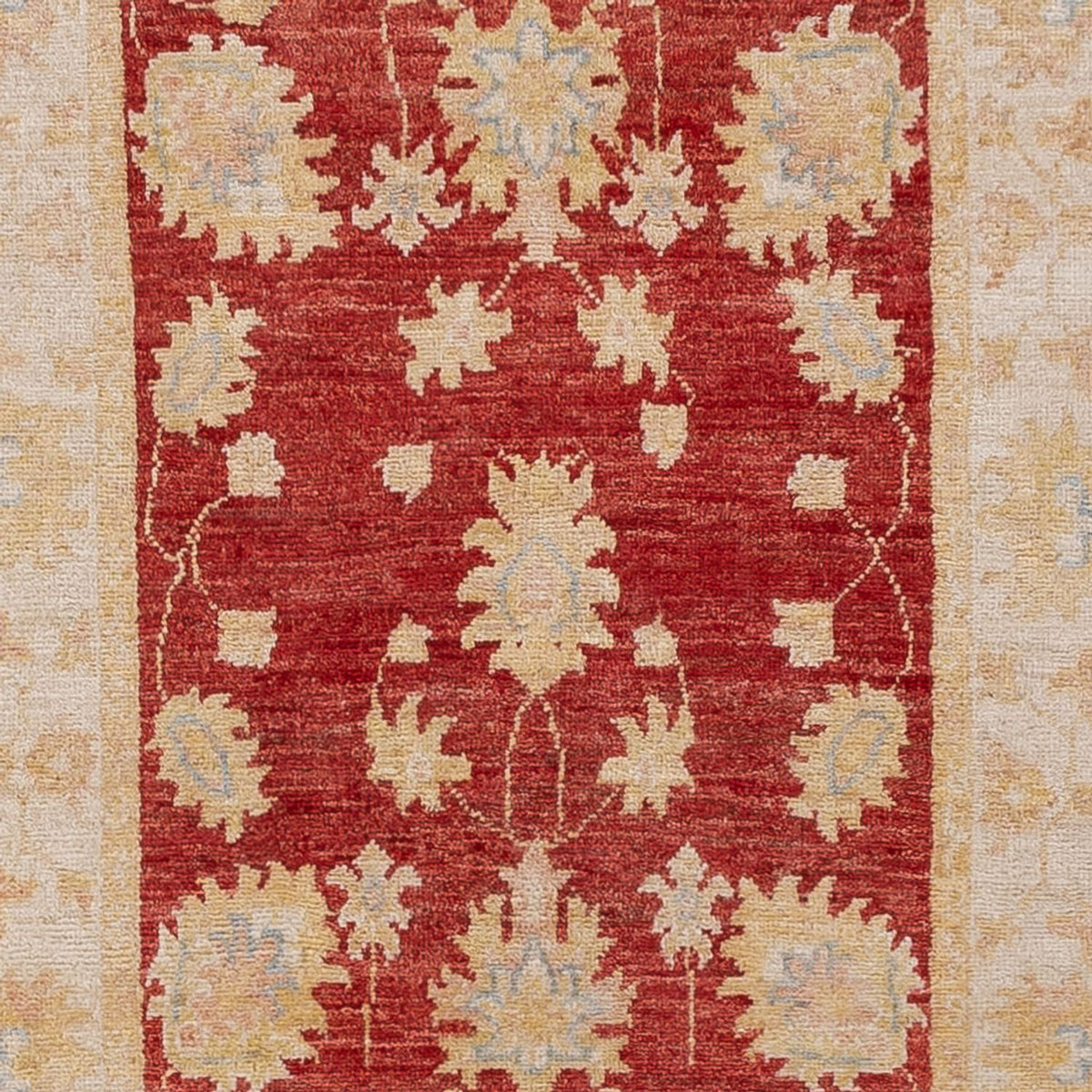 Løber Ziegler Carpet - 345 x 81 cm - rød