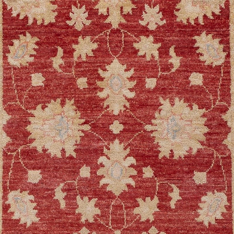 Løber Ziegler Carpet - 256 x 81 cm - rød