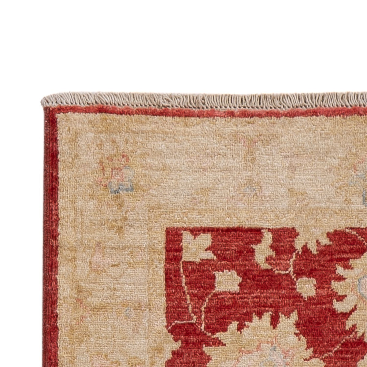 Løber Ziegler Carpet - 256 x 81 cm - rød