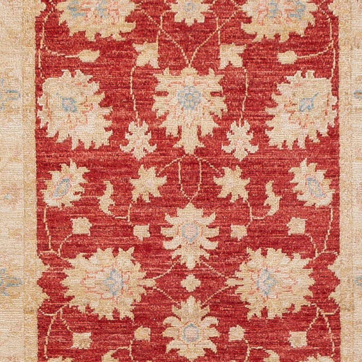 Løber Ziegler Carpet - 412 x 83 cm - rød