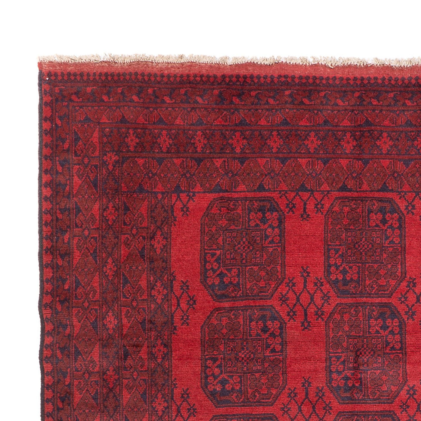 Akhche Tæppe 350x253cm - Orientalsk tæppe
