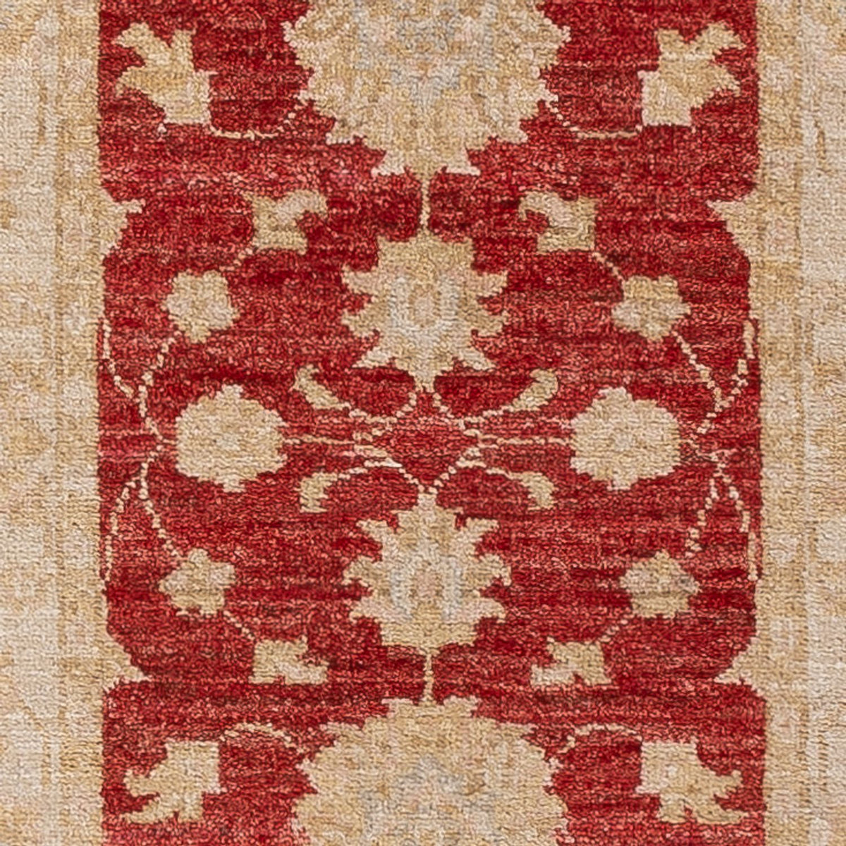 Løber Ziegler Carpet - 199 x 64 cm - rød