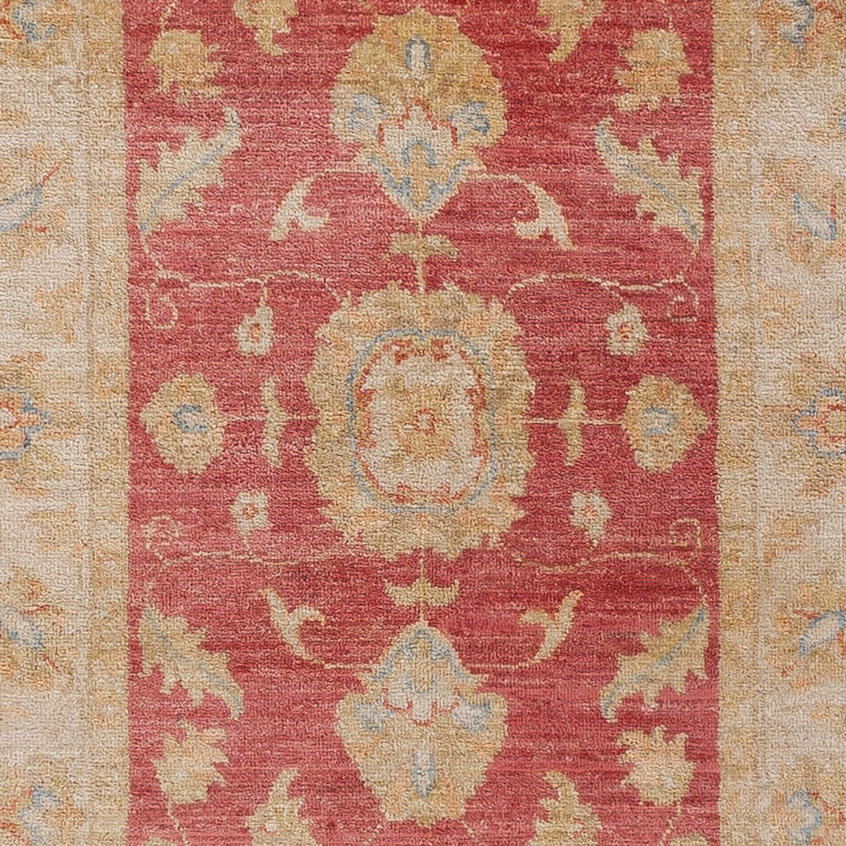 Løber Ziegler Carpet - 295 x 77 cm - rød