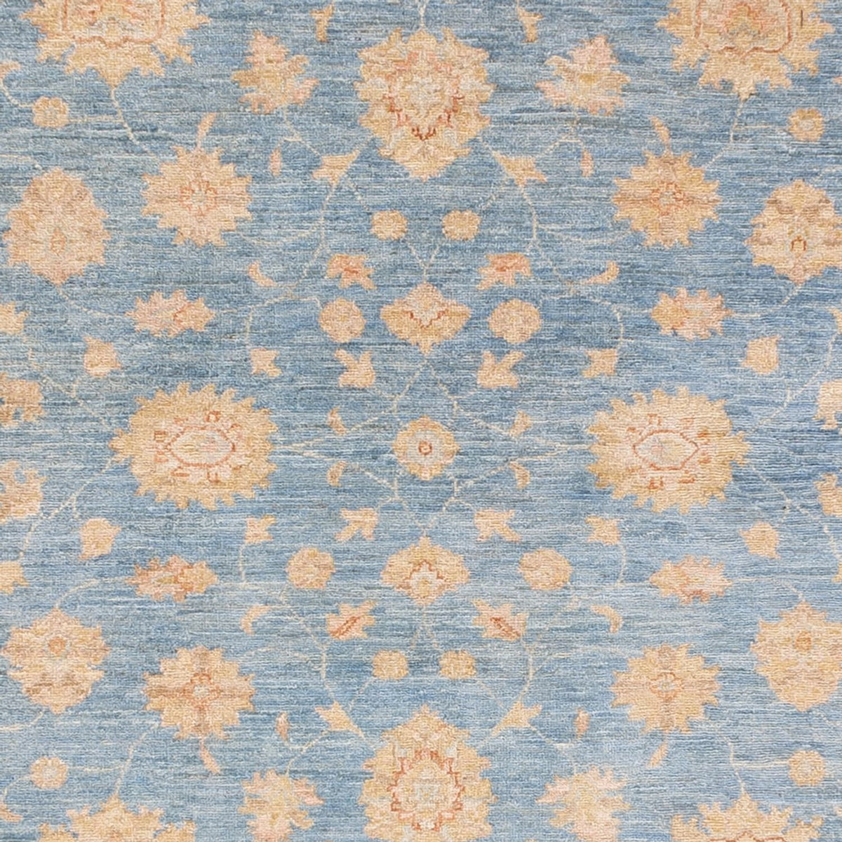 Løber Ziegler Carpet - 412 x 154 cm - lyseblå