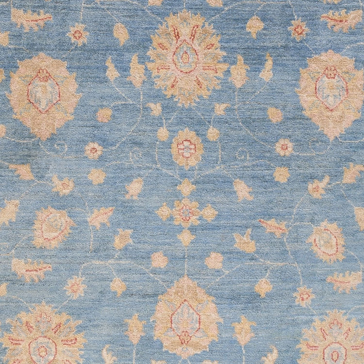Løber Ziegler Carpet - 485 x 143 cm - lyseblå