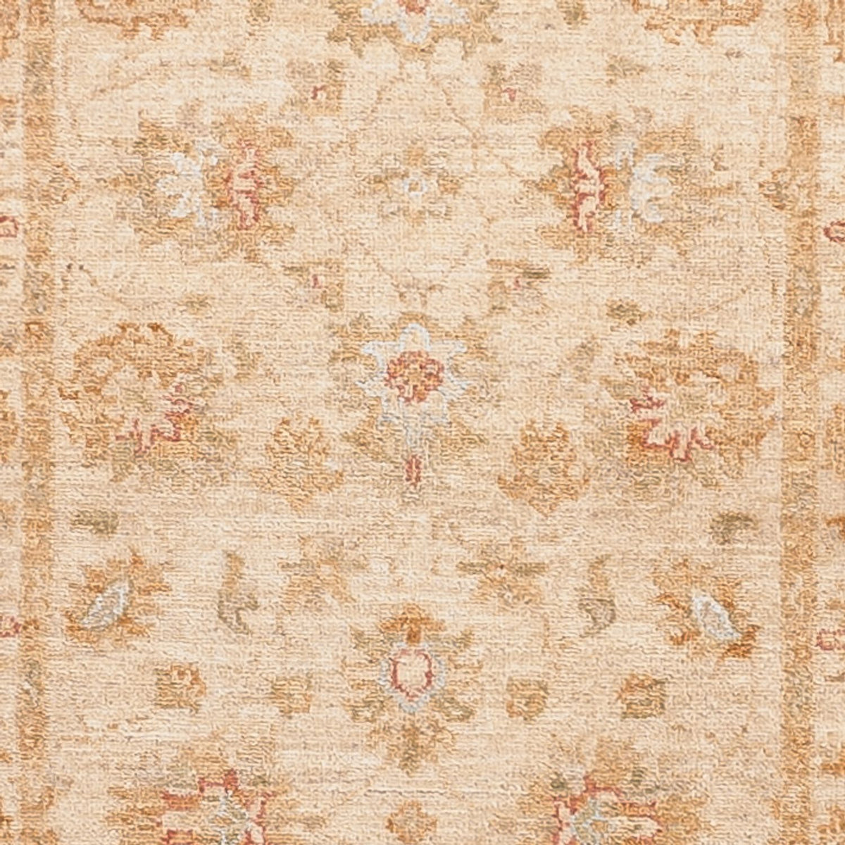 Løber Ziegler Carpet - 481 x 75 cm - beige
