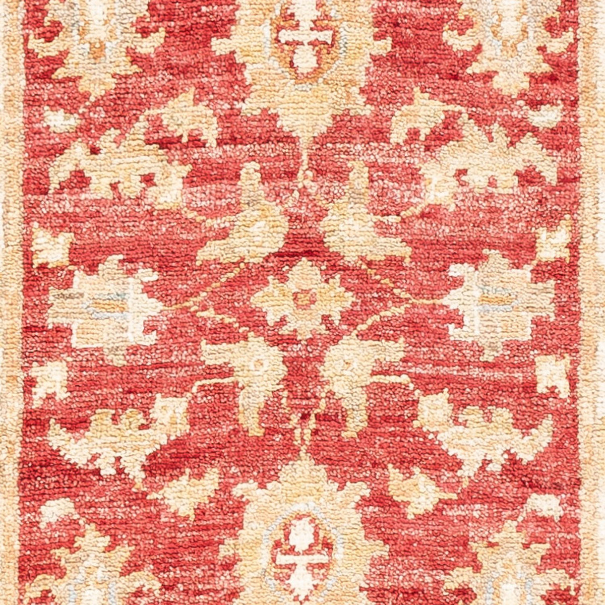 Løber Ziegler Carpet - 148 x 50 cm - rød