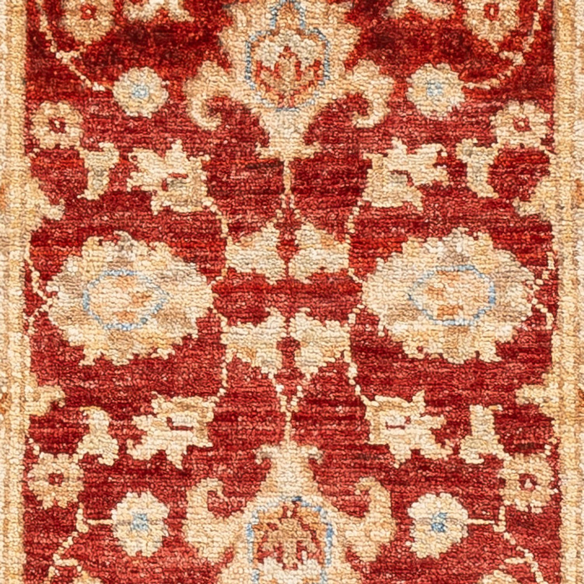 Løber Ziegler Carpet - 135 x 50 cm - rød