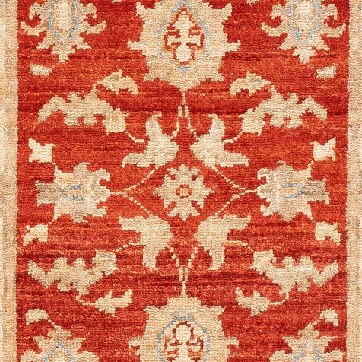 Løber Ziegler Carpet - 143 x 52 cm - rød