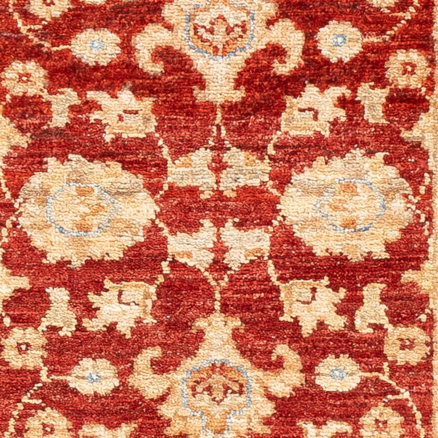 Løber Ziegler Carpet - 133 x 51 cm - rød