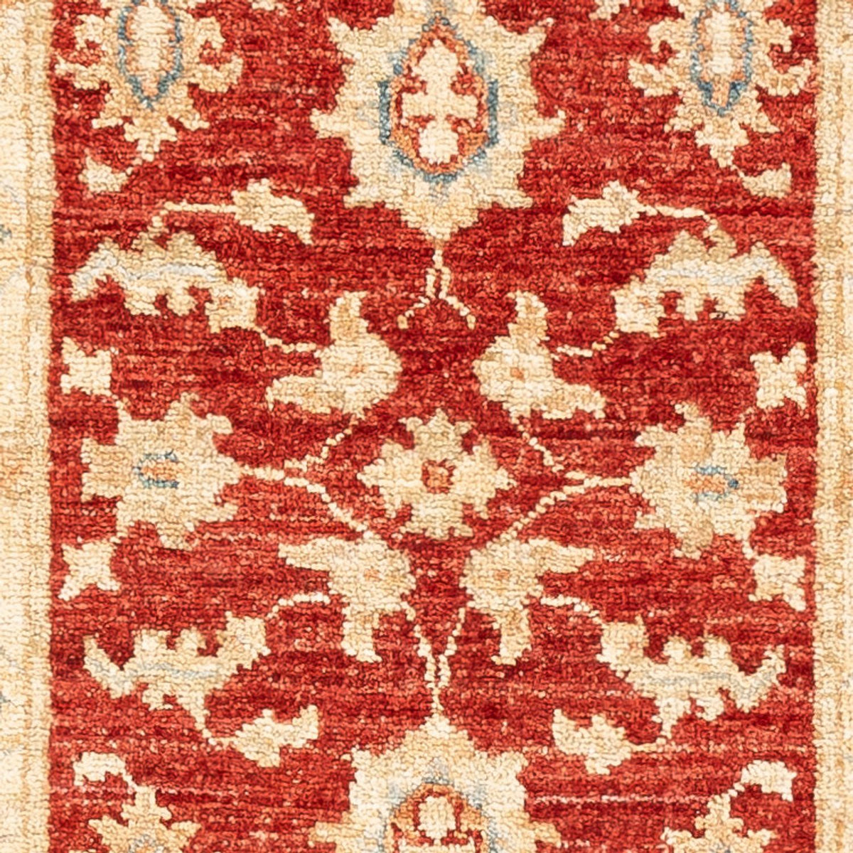 Løber Ziegler Carpet - 148 x 48 cm - rød