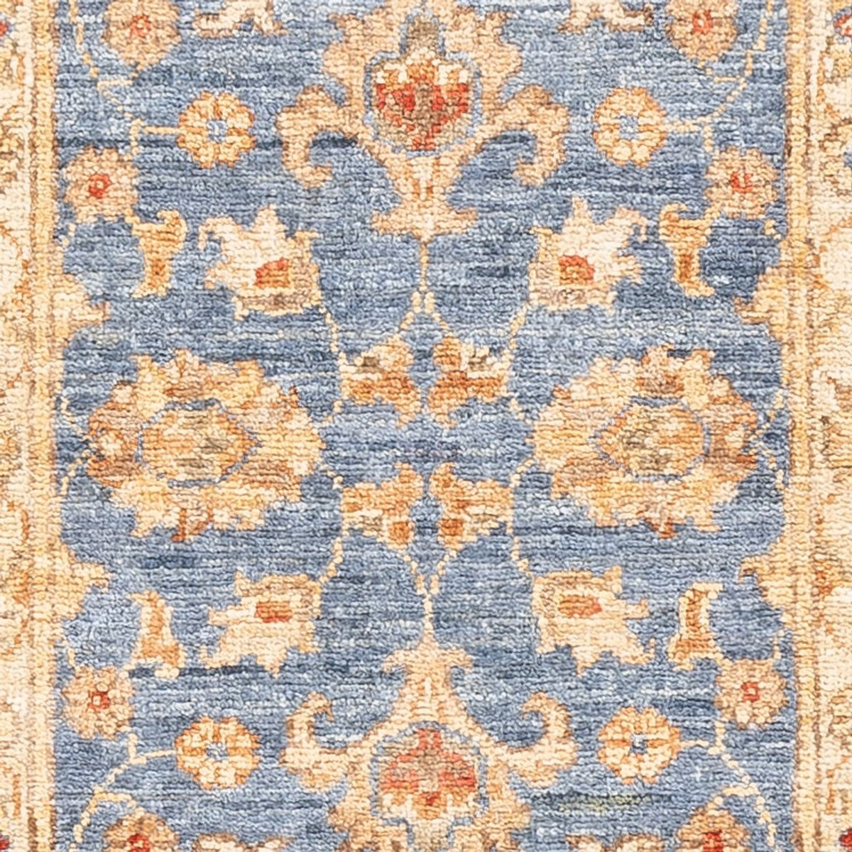 Løber Ziegler Carpet - 148 x 50 cm - blå