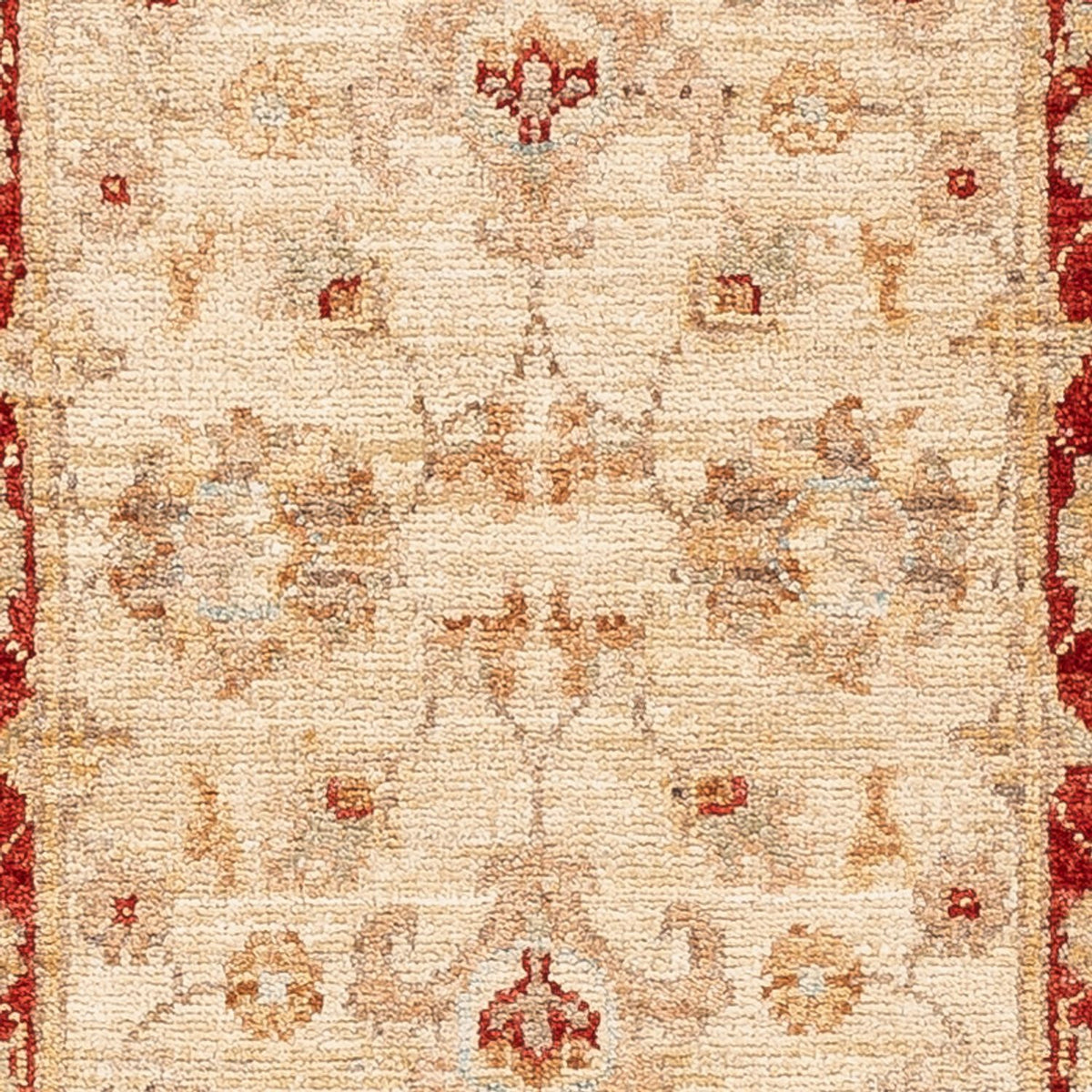 Løber Ziegler Carpet - 153 x 50 cm - beige