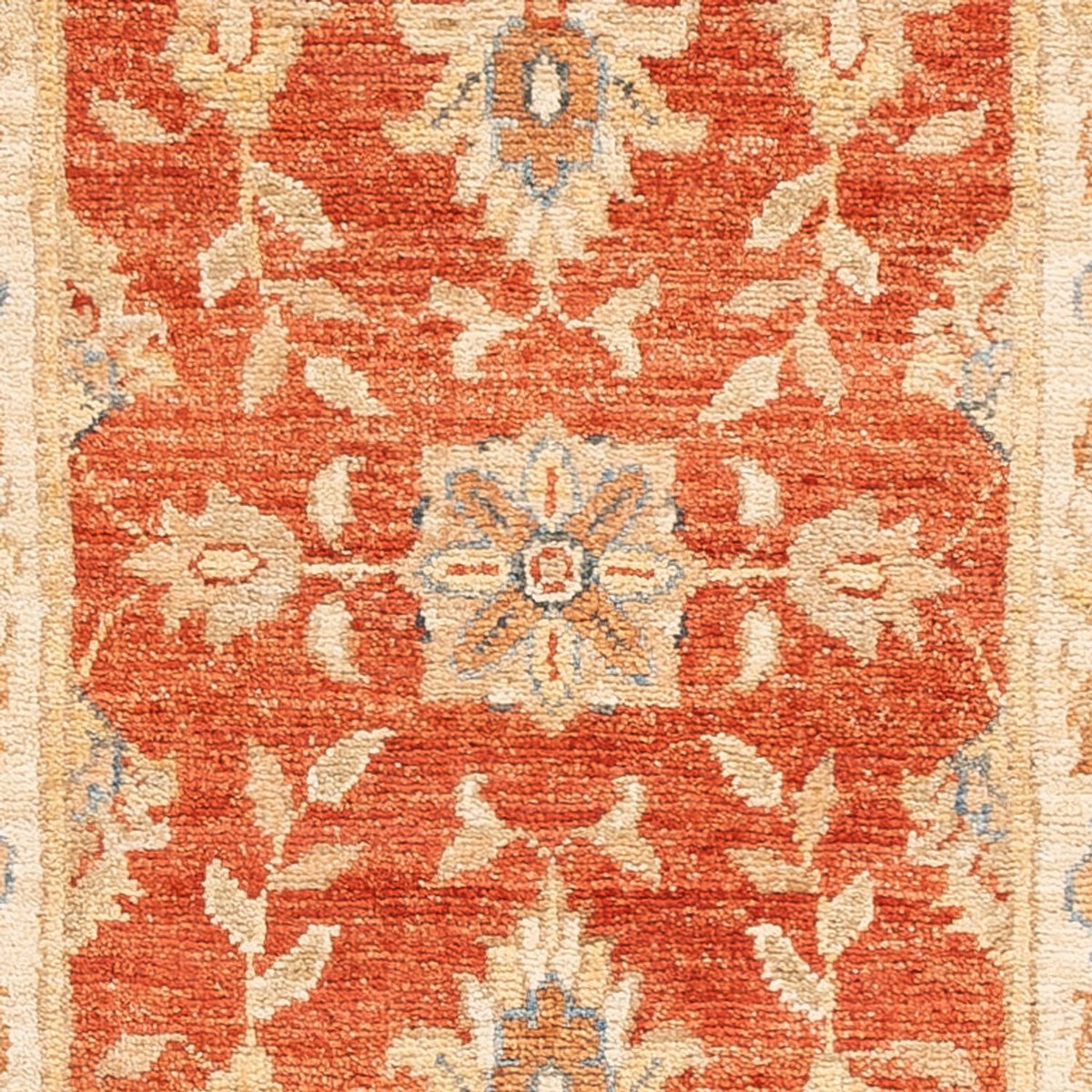 Løber Ziegler Carpet - 156 x 50 cm - rød