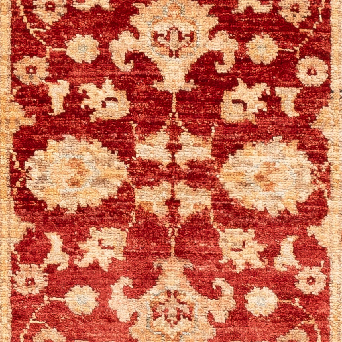 Løber Ziegler Carpet - 141 x 51 cm - rød