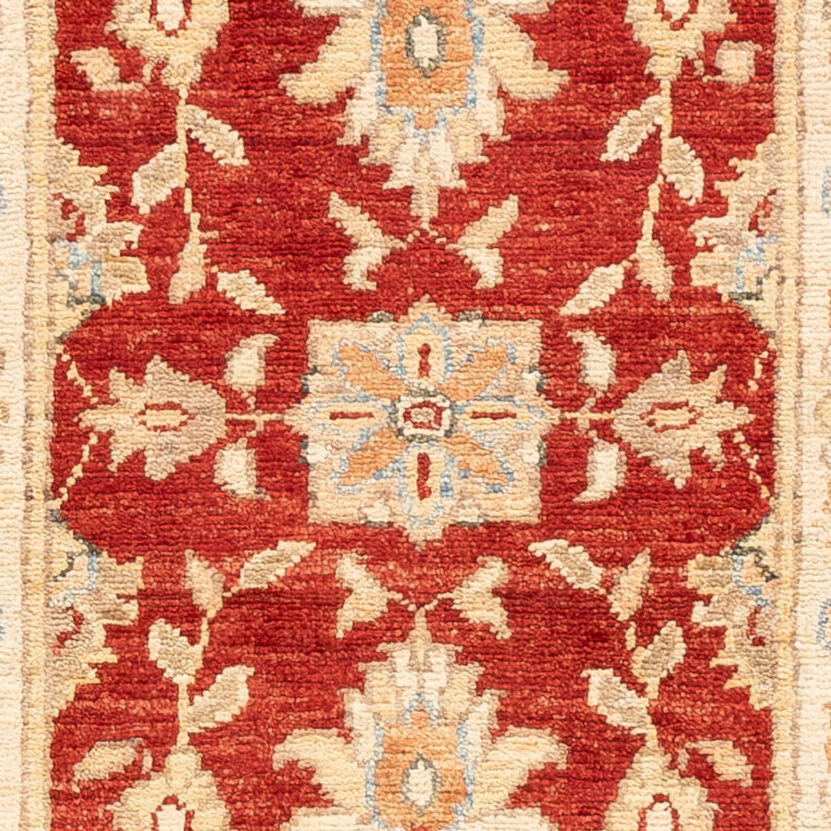 Løber Ziegler Carpet - 150 x 49 cm - rød