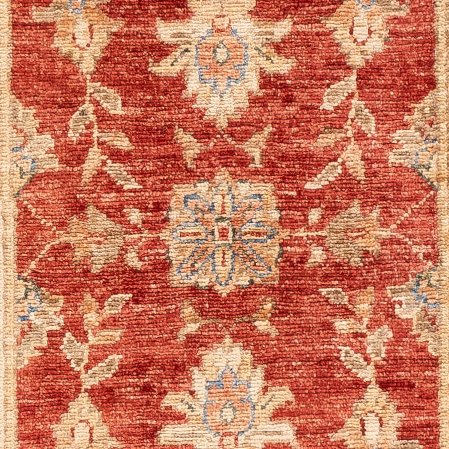 Løber Ziegler Carpet - 147 x 51 cm - rød