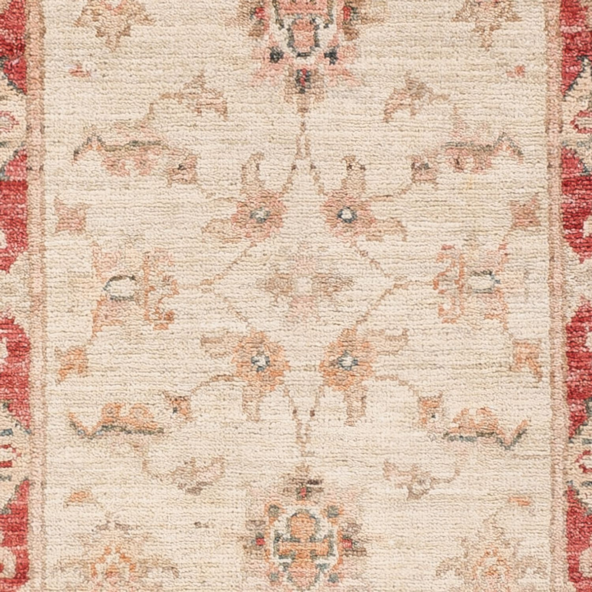 Løber Ziegler Carpet - 170 x 51 cm - beige