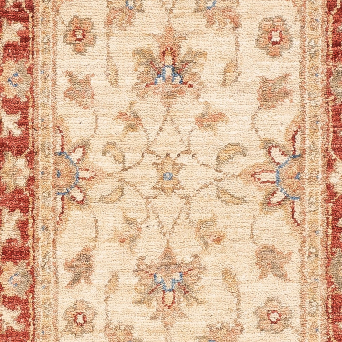Løber Ziegler Carpet - 157 x 49 cm - beige