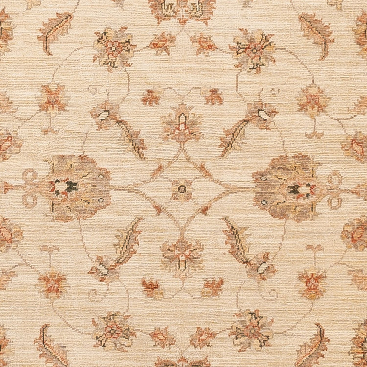 Løber Ziegler Carpet - 297 x 122 cm - beige