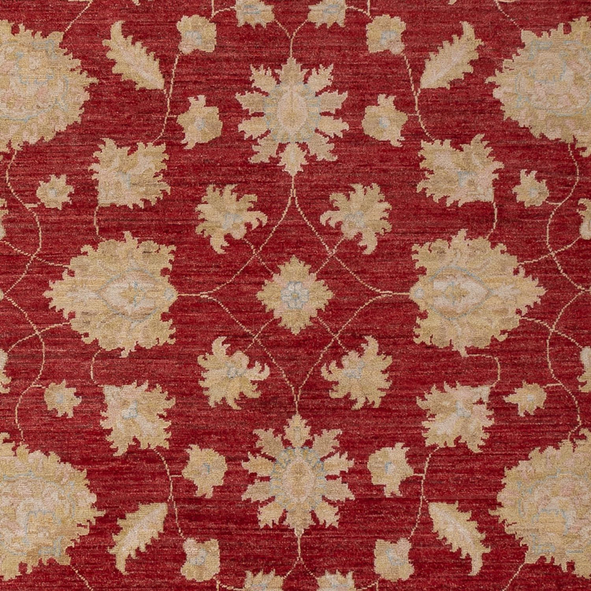 Ziegler Carpet - 299 x 206 cm - mørkerød