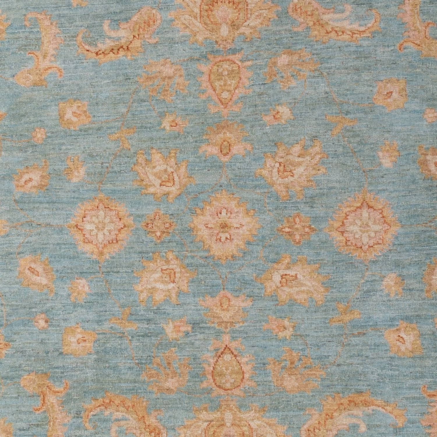 Ziegler Carpet - 290 x 205 cm - lyseblå