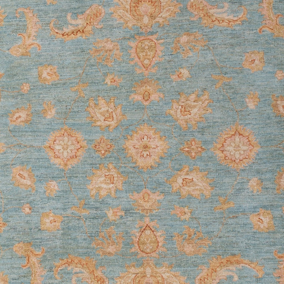 Ziegler Carpet - 290 x 205 cm - lyseblå
