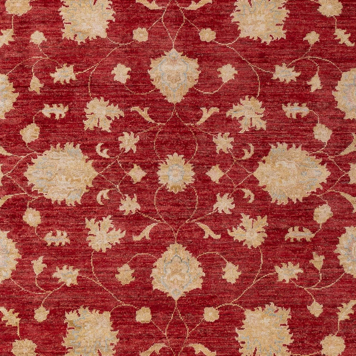 Ziegler Carpet - 297 x 209 cm - mørkerød
