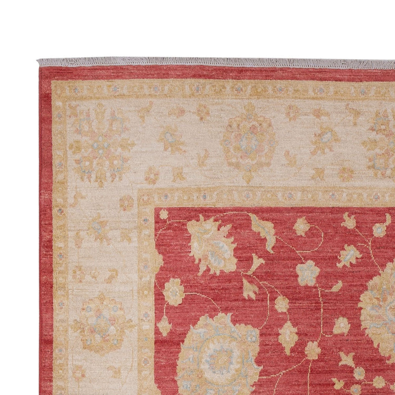 Ziegler Carpet - 320 x 207 cm - mørkerød