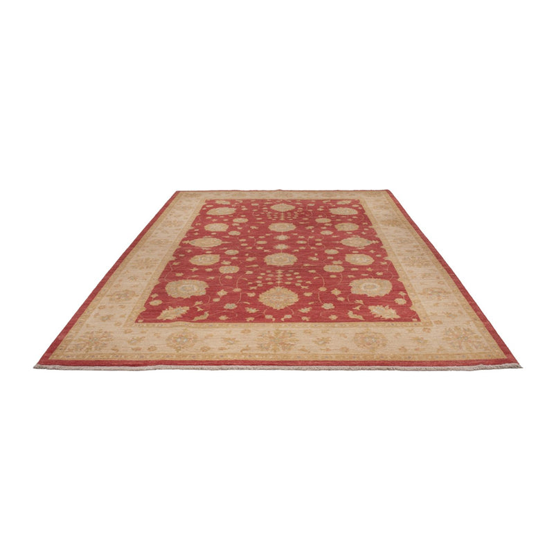 Ziegler Carpet - 320 x 207 cm - mørkerød