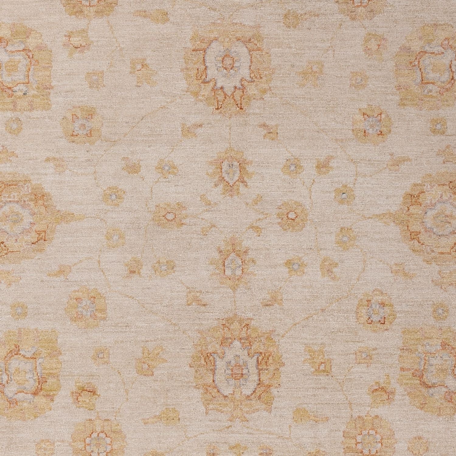 Ziegler Carpet - 292 x 206 cm - beige