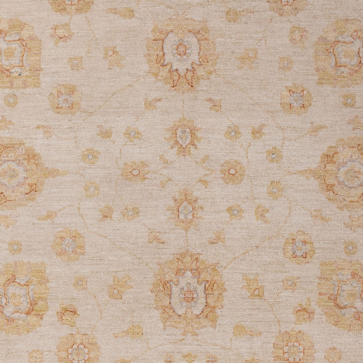 Ziegler Carpet - 292 x 206 cm - beige
