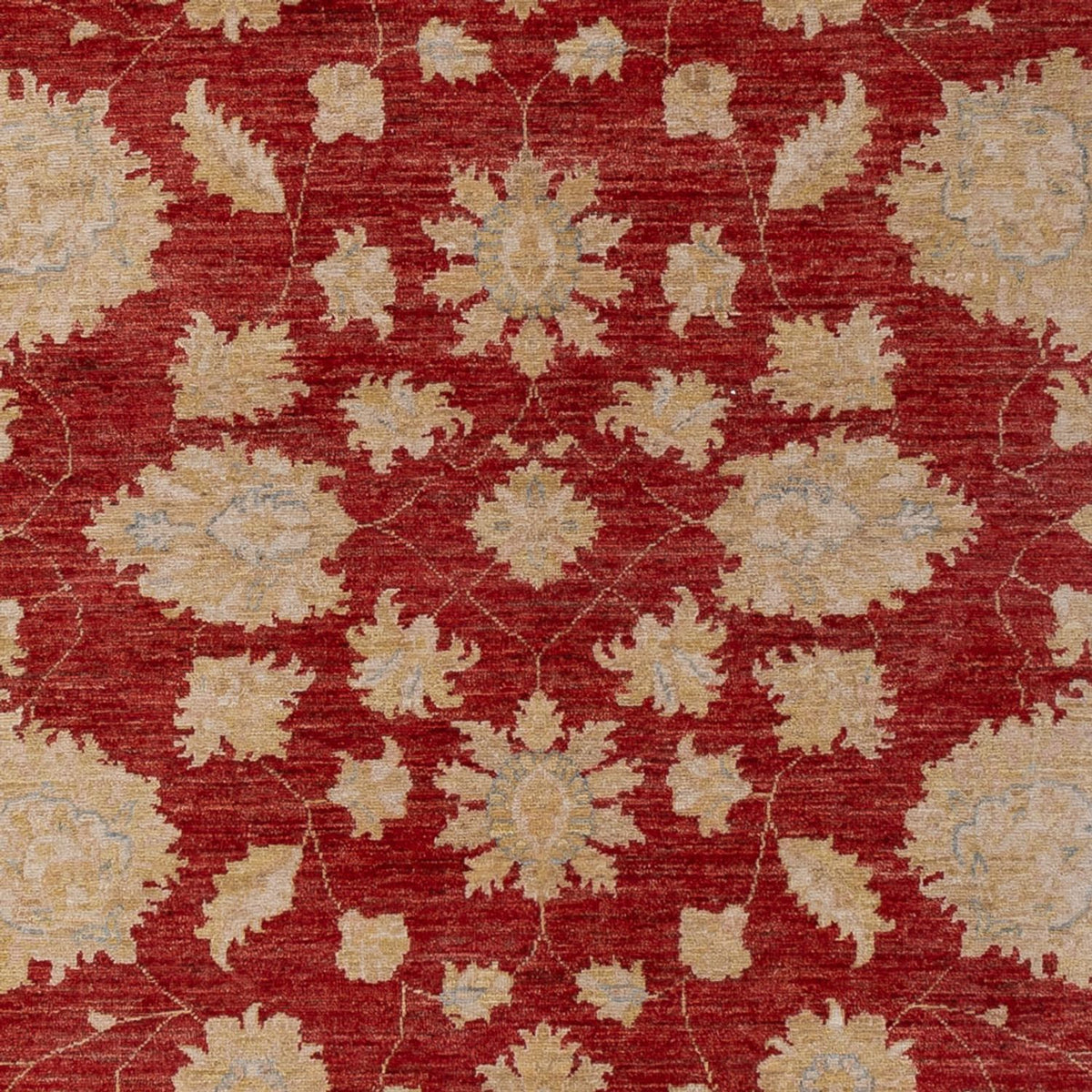 Ziegler Carpet - 295 x 201 cm - mørkerød