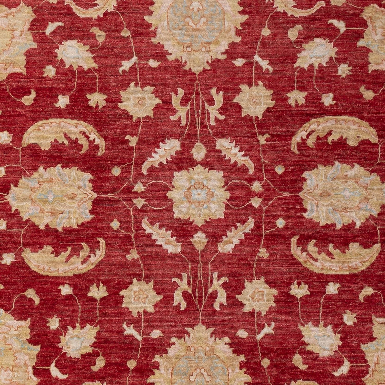 Ziegler Carpet - 303 x 204 cm - mørkerød