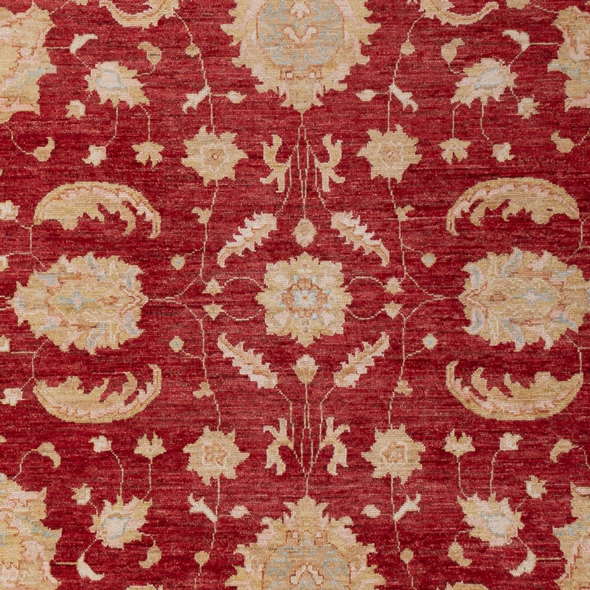 Ziegler Carpet - 303 x 204 cm - mørkerød
