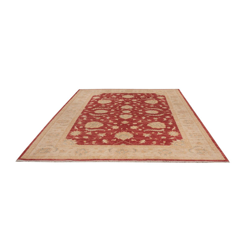 Ziegler Carpet - 290 x 204 cm - mørkerød