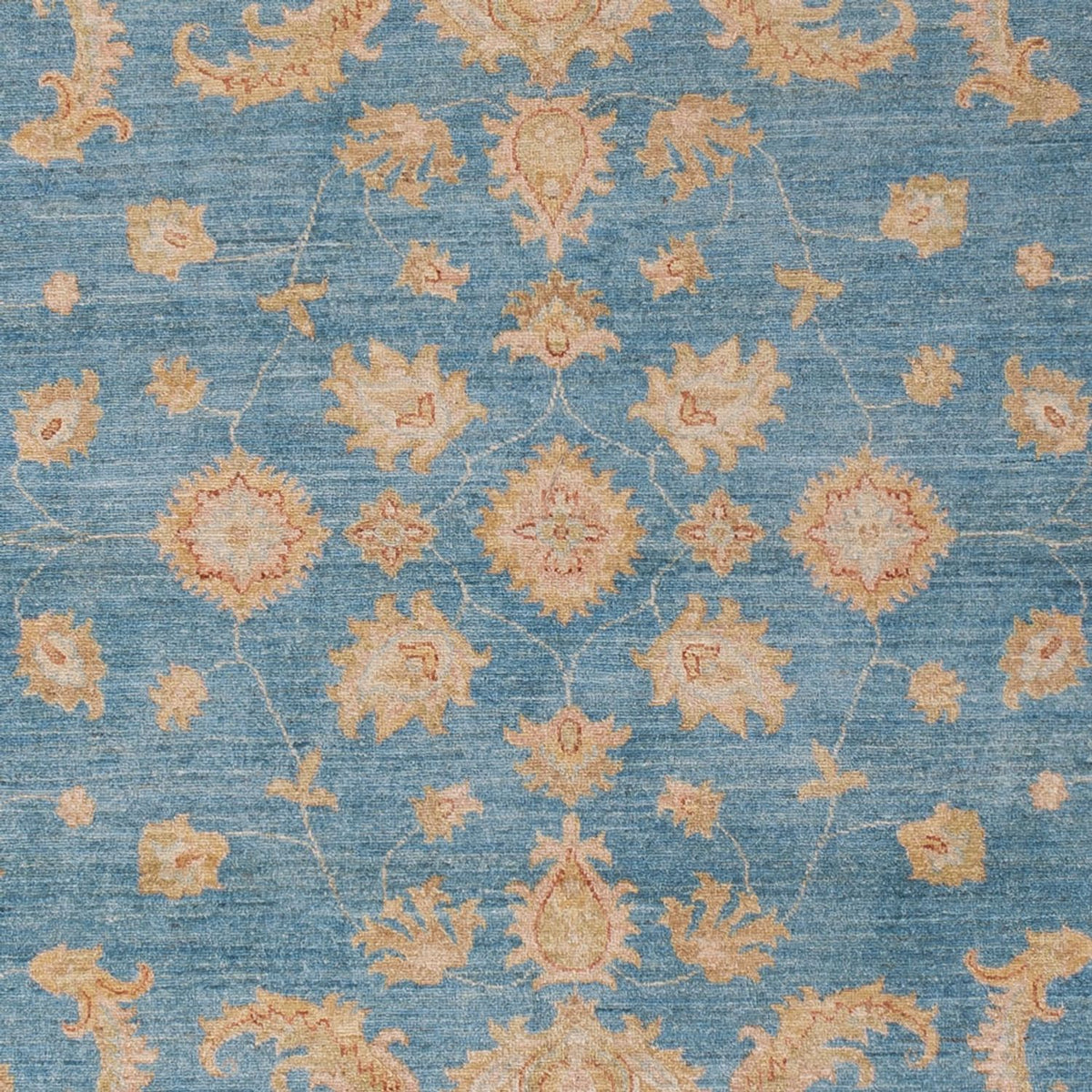 Ziegler Carpet - 301 x 202 cm - lyseblå