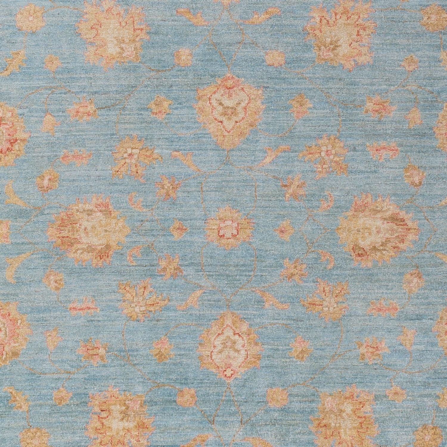 Ziegler Carpet - 298 x 206 cm - lyseblå