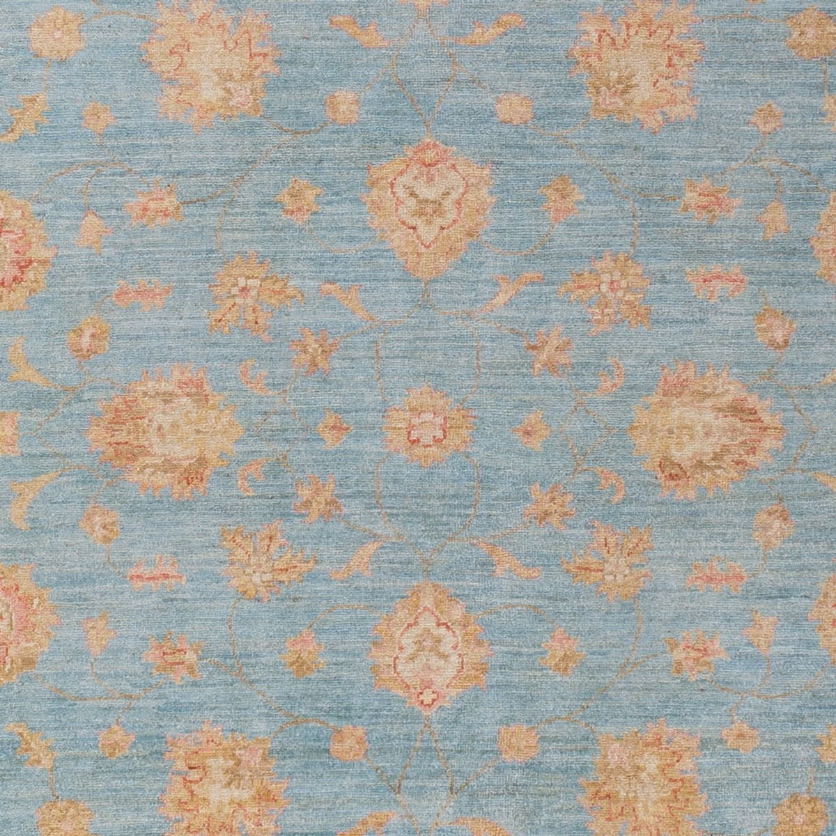 Ziegler Carpet - 298 x 206 cm - lyseblå