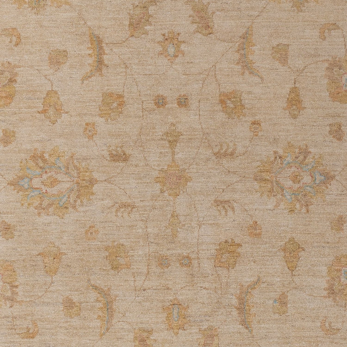 Ziegler Carpet - 299 x 205 cm - beige
