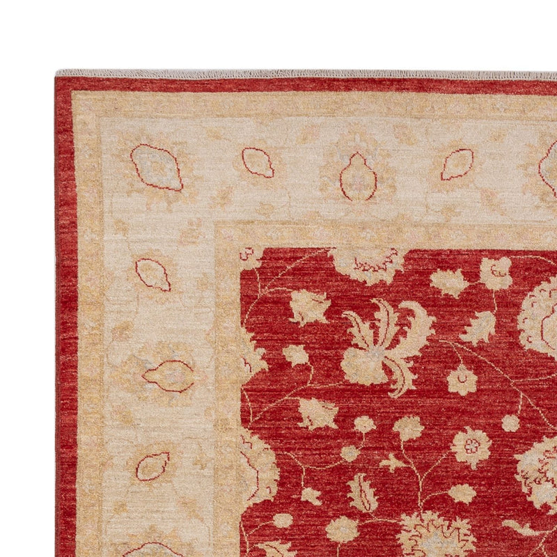 Ziegler Carpet - 298 x 210 cm - rød
