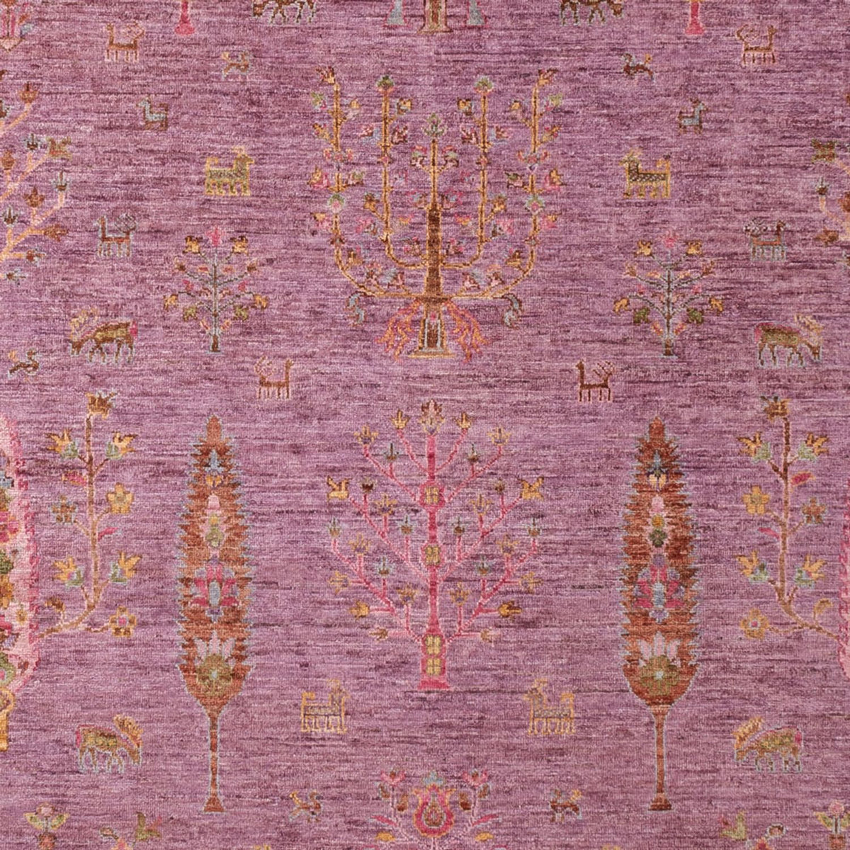 Ziegler Carpet - Ariana - 298 x 208 cm - lilac