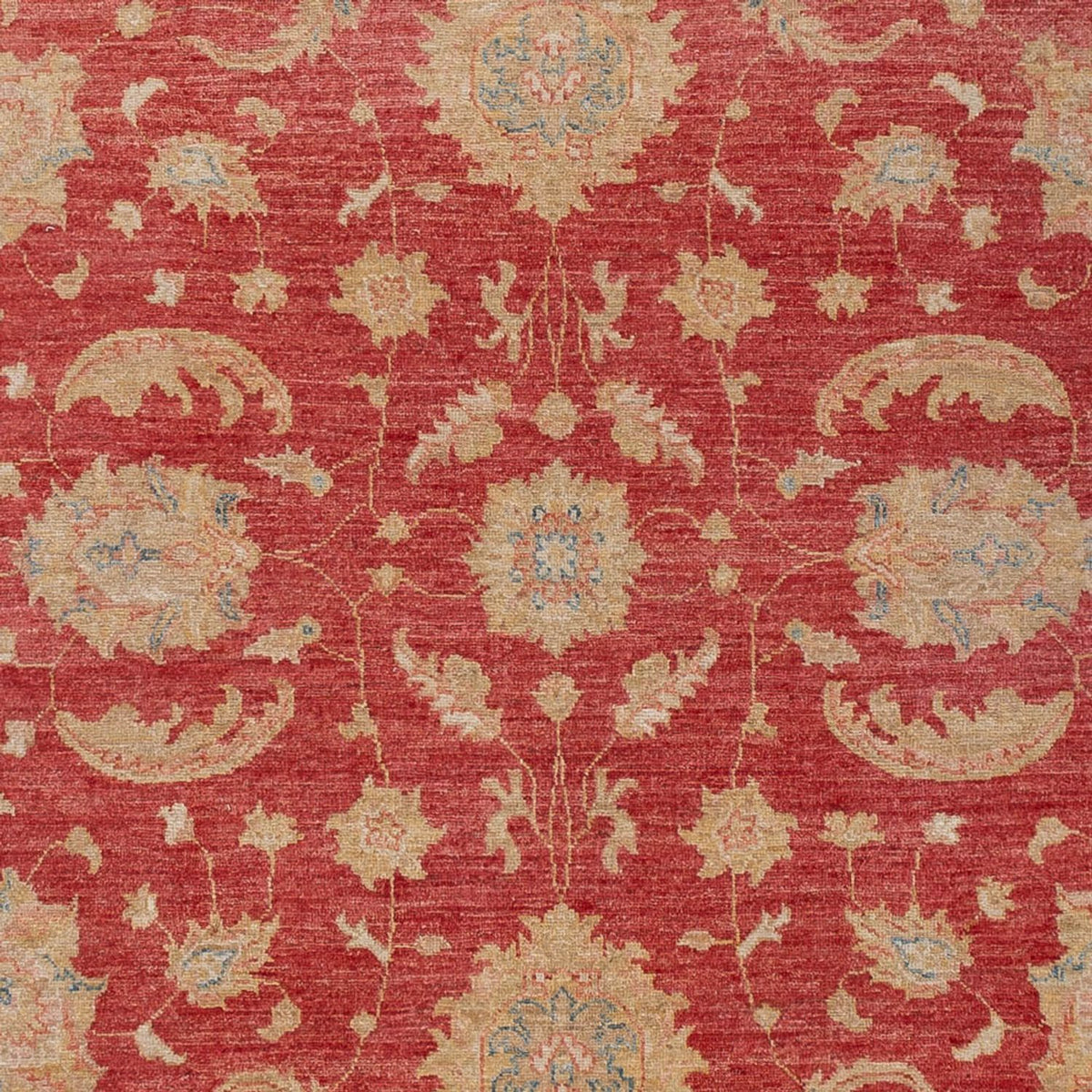 Ziegler Carpet - 297 x 202 cm - rød