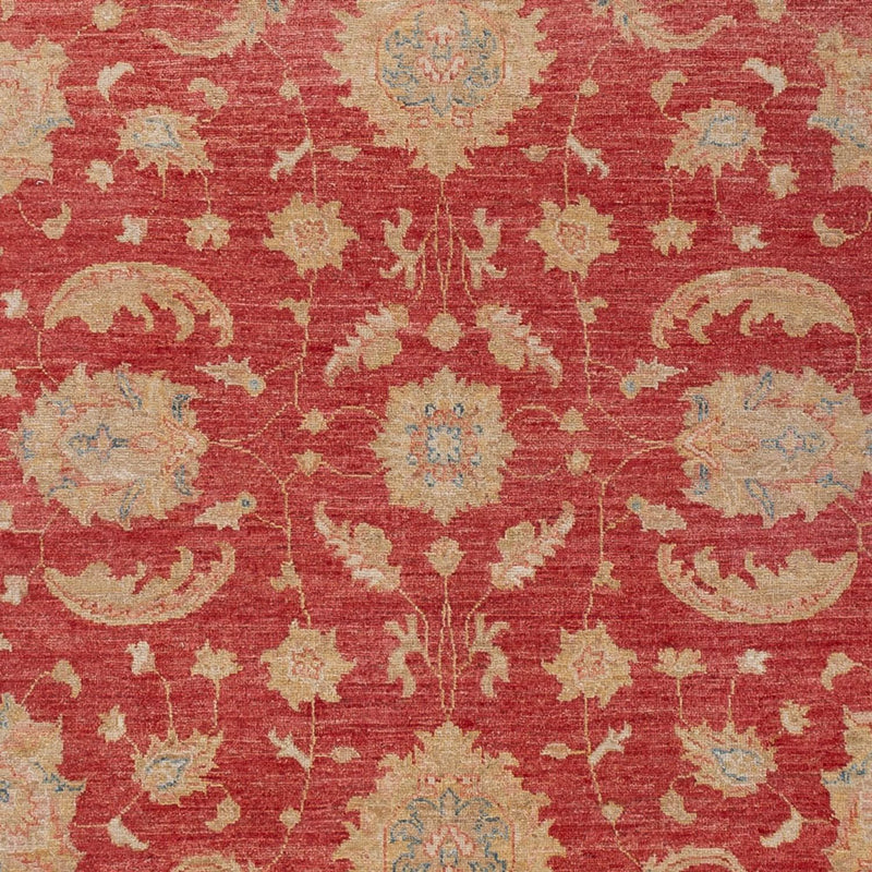 Ziegler Carpet - 297 x 202 cm - rød